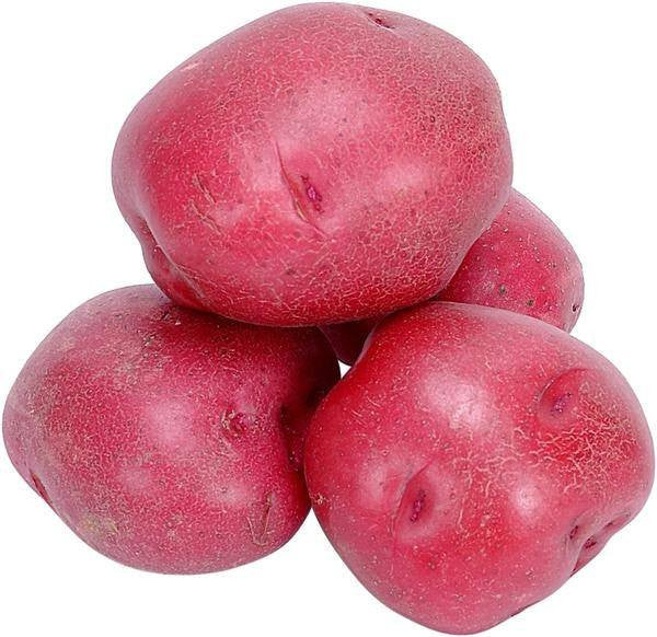 البطاطس الحمراء 5 رطل