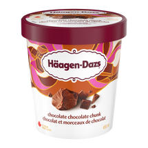 HAAGEN DAZS, CRÈME GLACÉE AU CHOCOLAT ET MORCEAUX DE CHOCOLAT, 450 ML