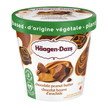 HAAGEN DAZS, VANILLA ICE CREAM, 500 ML