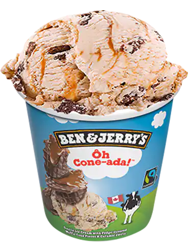 BEN & JERRY'S OHCONE-ADA 473 ML