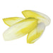 ENDIVES