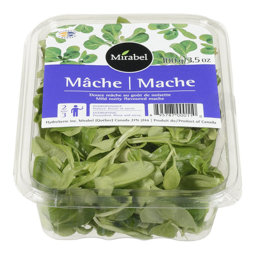 MACHE 100 G