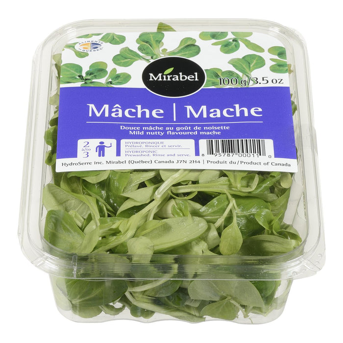 MACHE 100 G