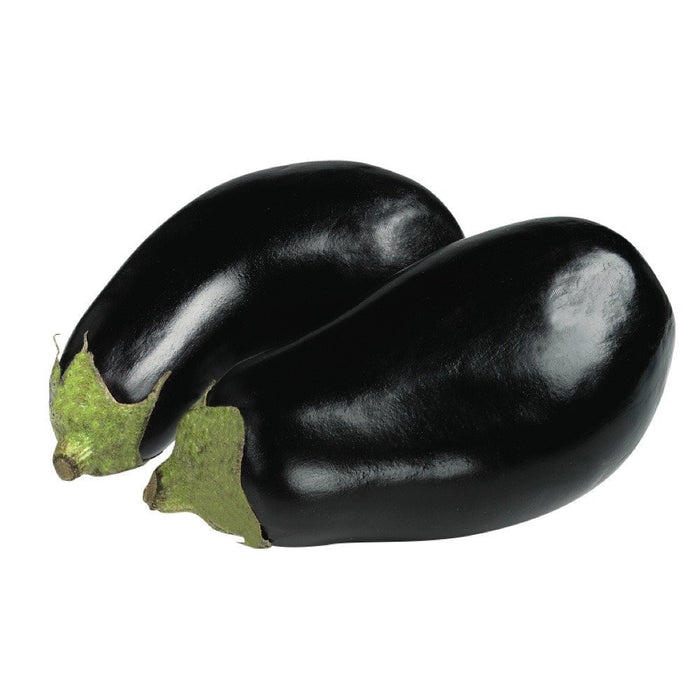 AUBERGINE