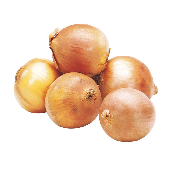 OIGNON JAUNE 1 LB