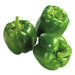 PIMENT VERT