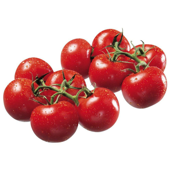 TOMATE ROUGE VIGNE, 5 UNITÉS