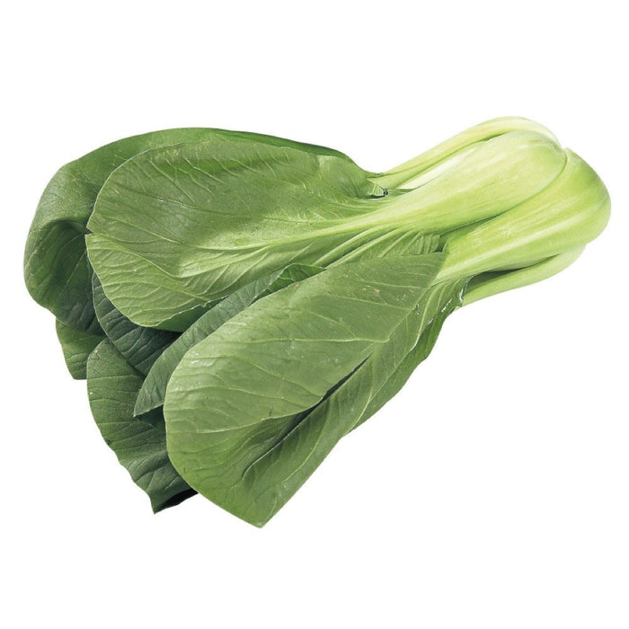 BOK CHOY BÉBÉ