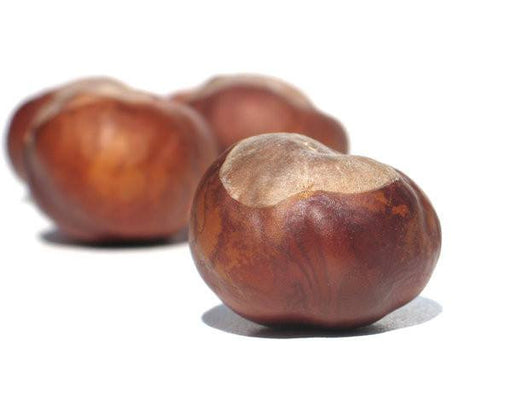 NOIX CHATAIGNE 1 LB