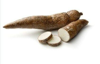YUCCA, 1 UNITÉ