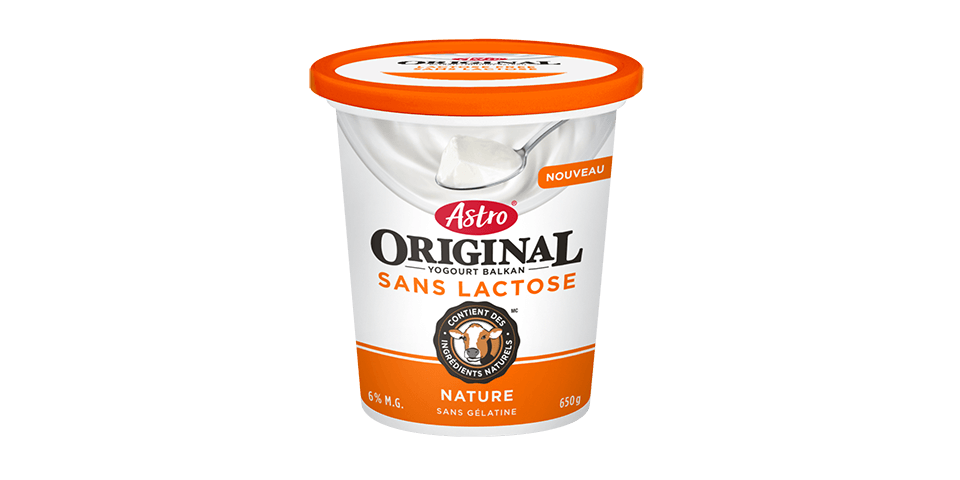 ASTRO, BALKAN NATURE 6% SANS LACTOSE, 650 G
